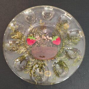 Vintage Deviled Egg Lucite Acrylic Pressed Flowers